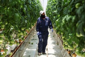 La economía mexicana se contrae un 0.8% en el primer trimestre del año