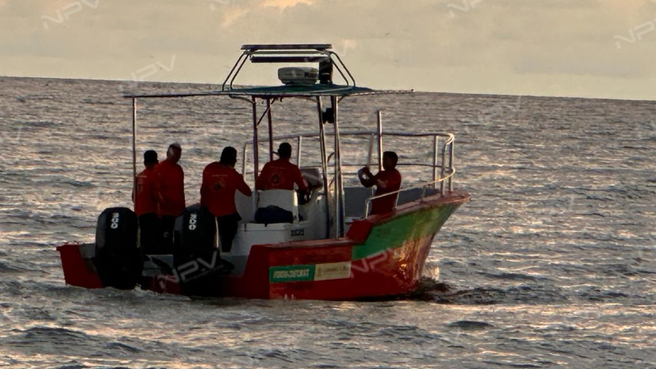 Cocodrilo de 3 metros encontrado sin vida en la costa de Marina Vallarta