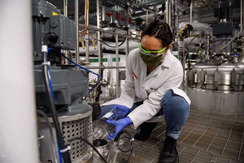 GreenLight invertirá 100 millones de dólares para crear un biofungicida de ARN innovador en México.