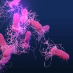 135 médicos enferman por brote de salmonela en el Hospital General de Ciudad de México