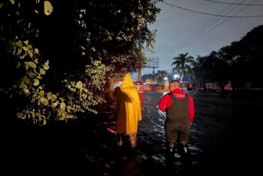 Feroz tormenta tumba árboles y ocasiona daños en centros comerciales de Guadalajara, se avecinan más lluvias