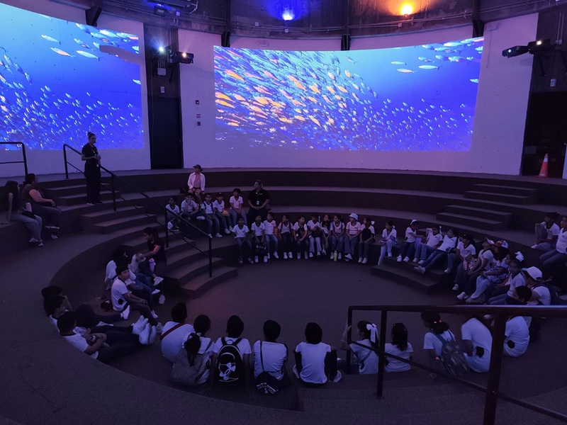 Gran Acuario Mazatlán lanza “Exploradores del Océano”, una aventura para descubrir y proteger el Mar de Cortés