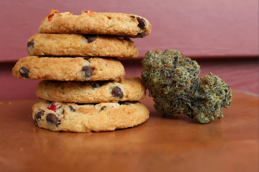 La Suprema Corte de México autoriza comestibles de cannabis en casa, aunque con un impacto práctico limitado