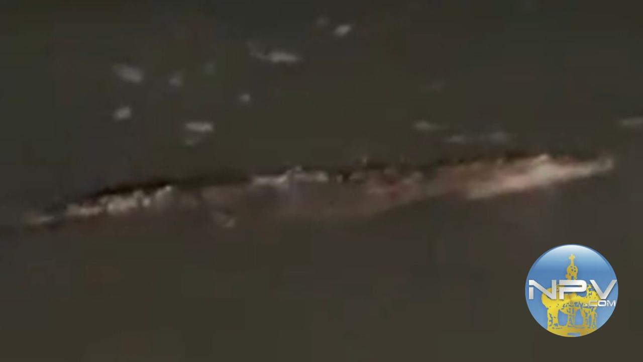 Un cocodrilo causa sensación entre turistas en el Mar del Malecón de Puerto Vallarta